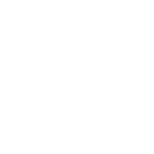 ANZ Business Logo