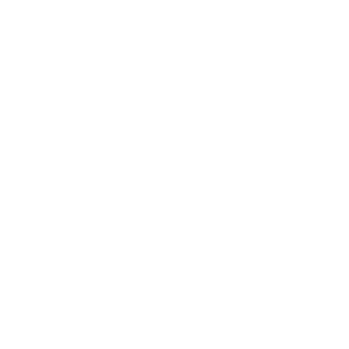 Dept. of Transport and Planning | Victoria Business Logo