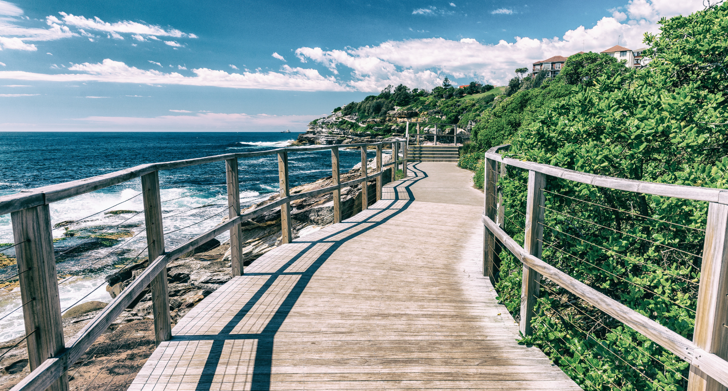 wooden walkway with beach waves to the left and bright greenery to the right