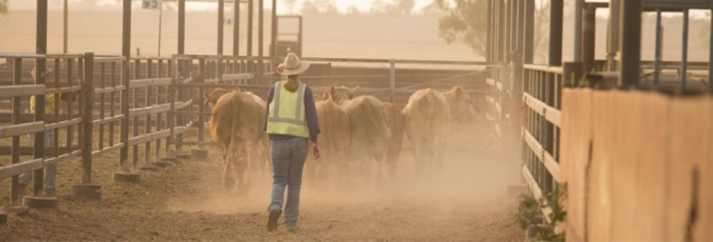 JBS Foods Australia | Explore Careers Australia