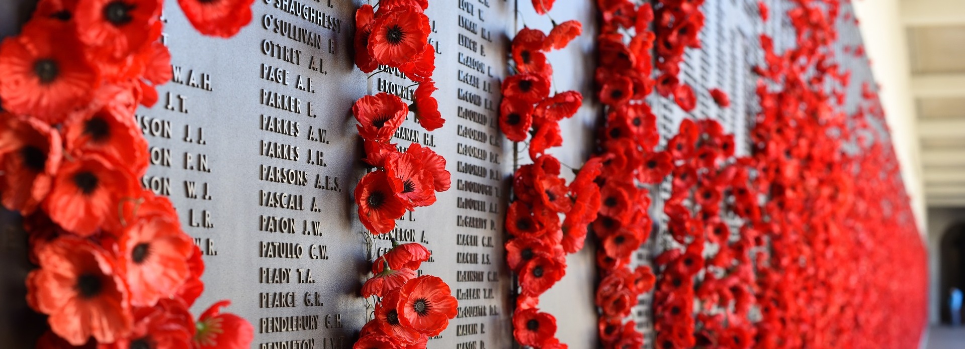 Book Reviews and More: Remembrance Day 2022 Lest We Forget