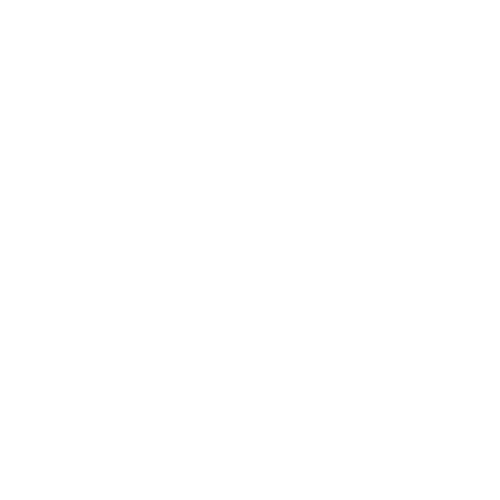 Ausgrid Business Logo