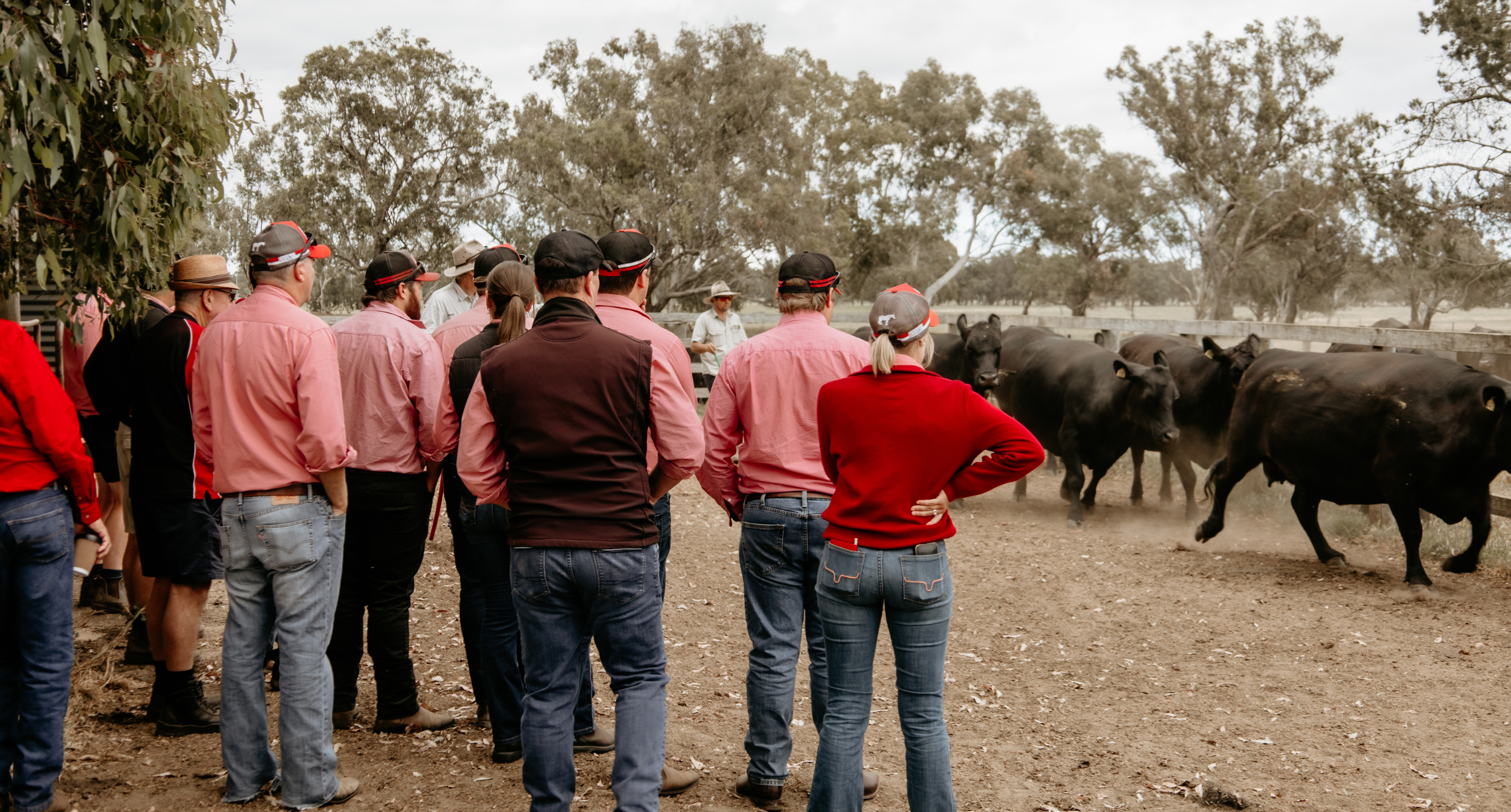 Embrace Rural Life With Agriculture Careers | Explore Careers Australia