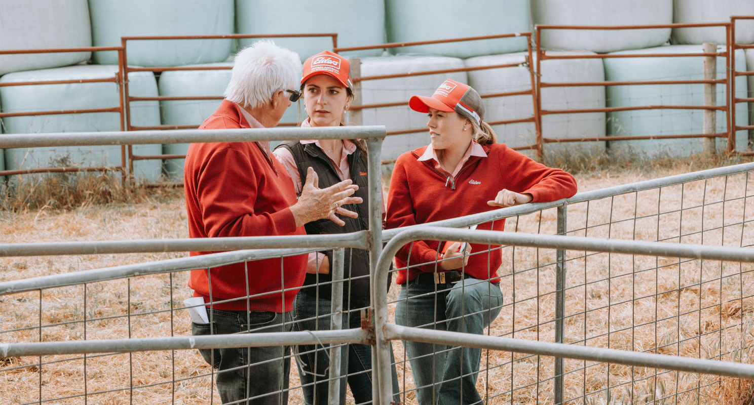 Two young Elders employees talking with a senior employee stood by cattle fence