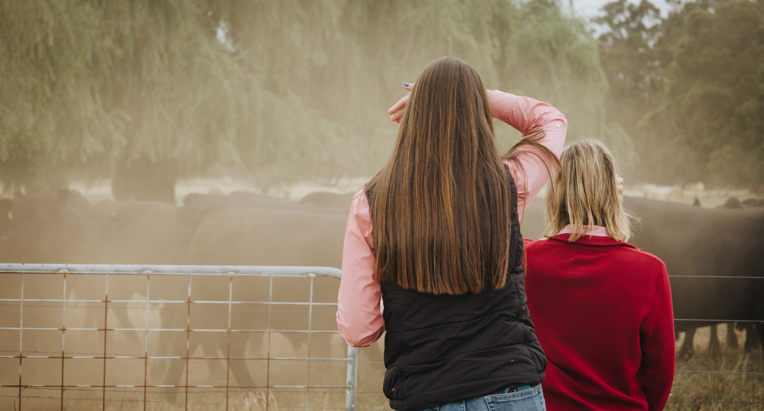 Two young agriculture professionals watching over cattle pen